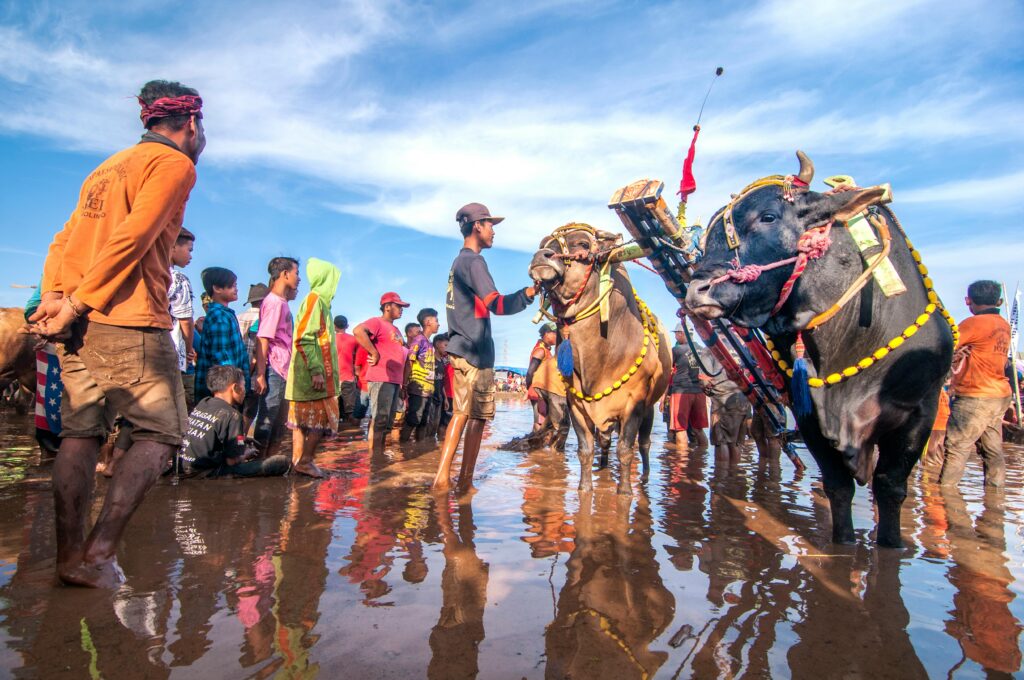 pexels-photo-35415681-35415681 pexels-photo-35415681-35415681.jpg